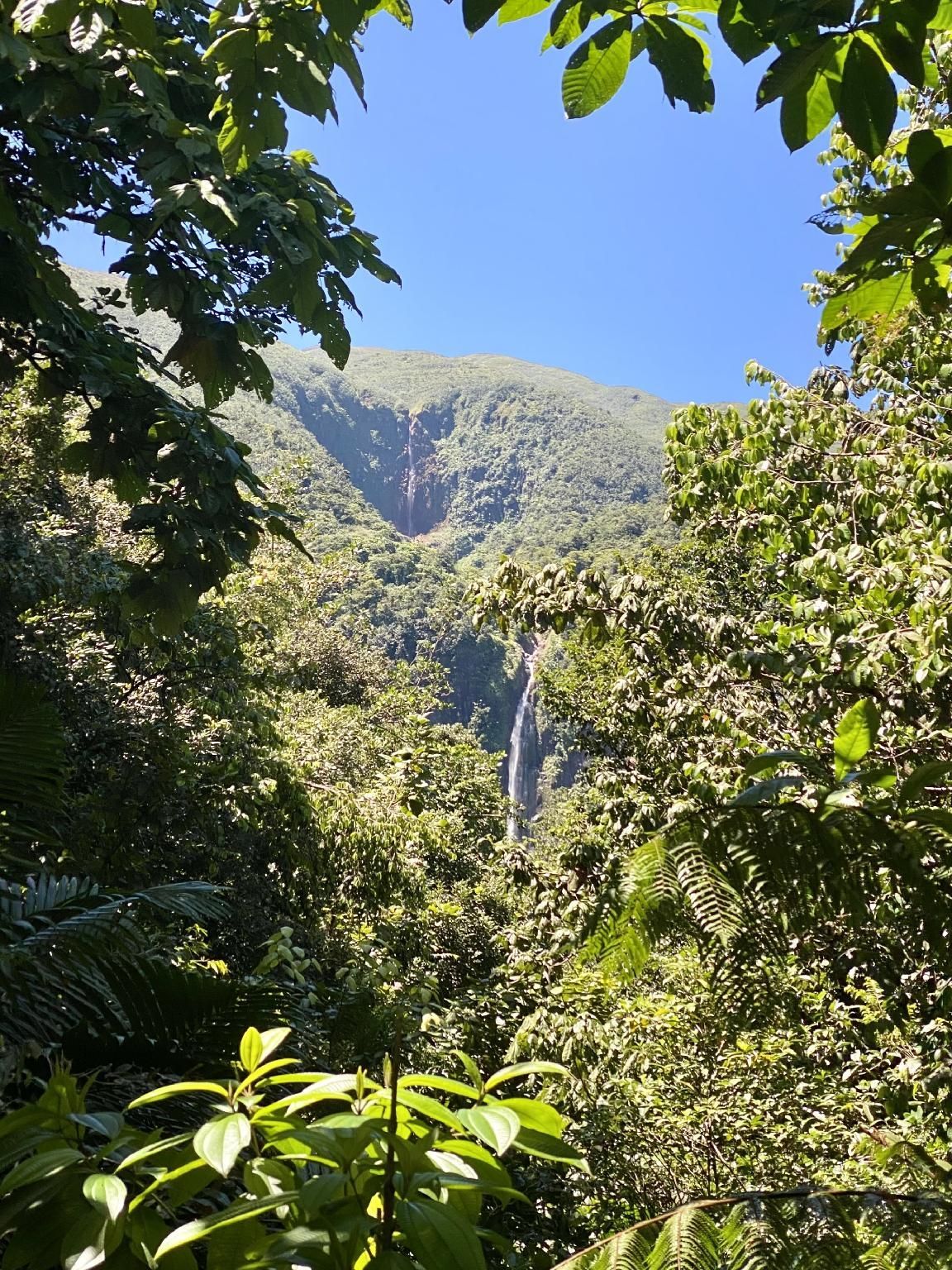 المظهر الخارجي