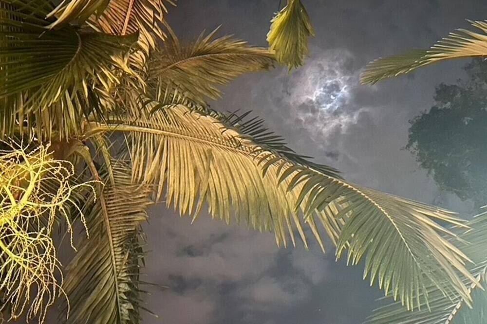 المظهر الخارجي