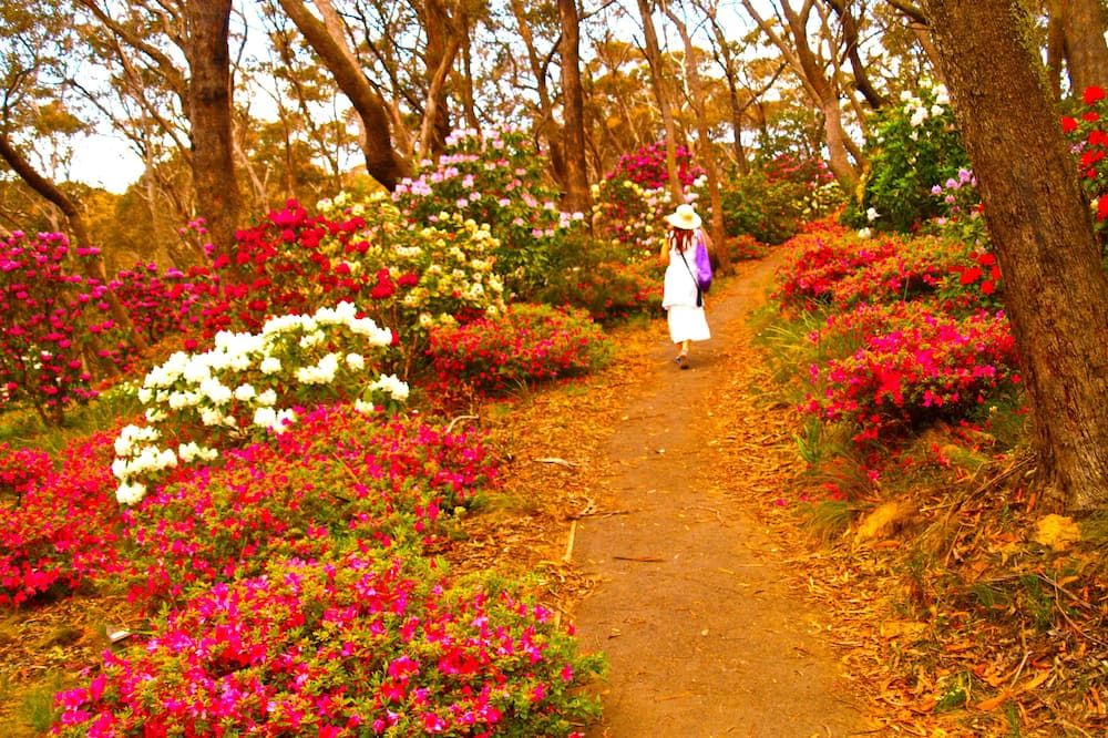 المظهر الخارجي