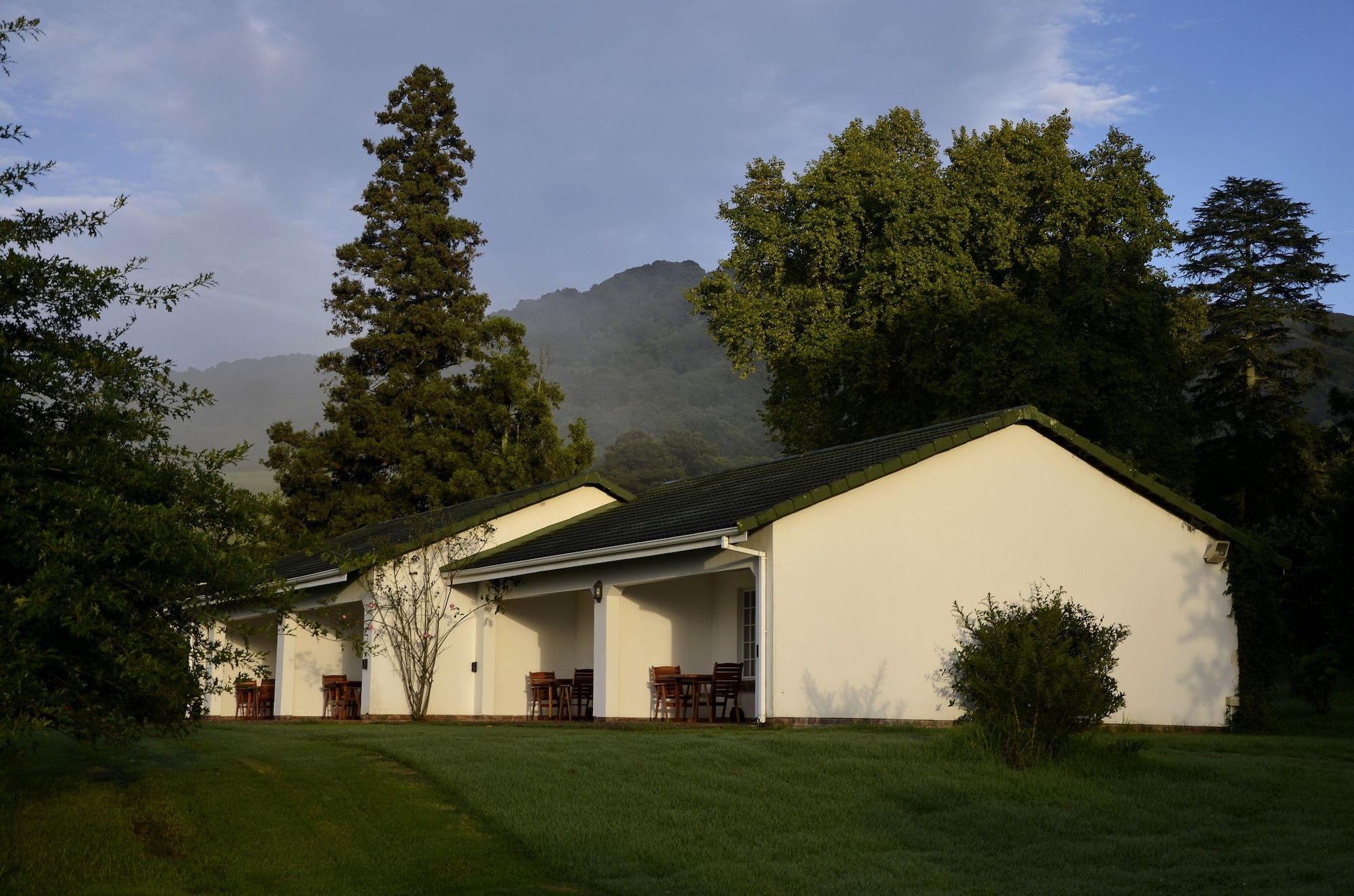 المظهر الخارجي