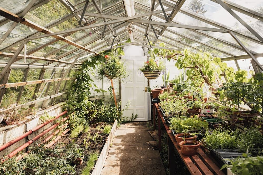 المظهر الخارجي