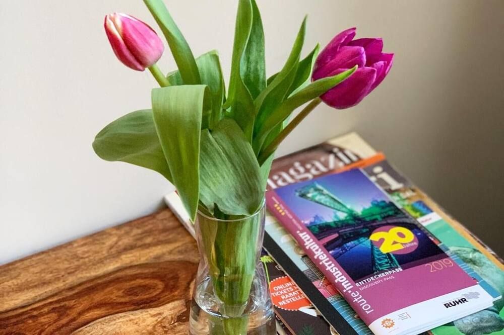 وسائل راحة في الغرف