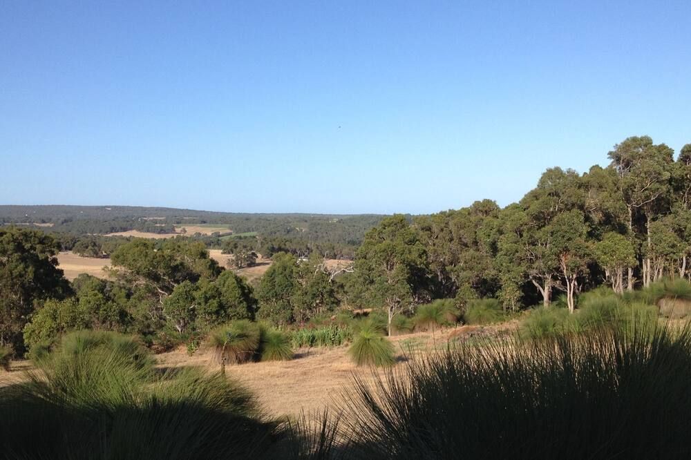 المظهر الخارجي