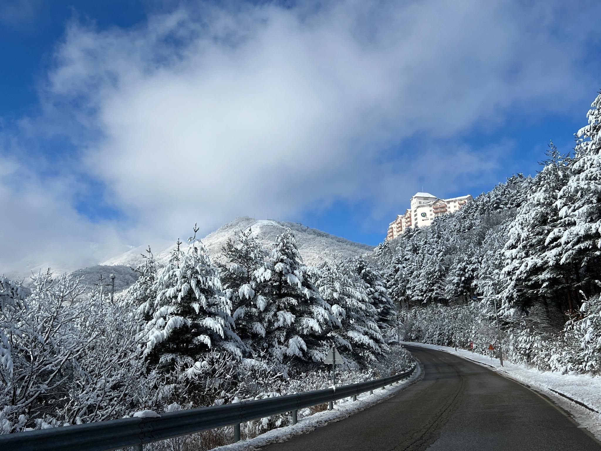 المظهر الخارجي