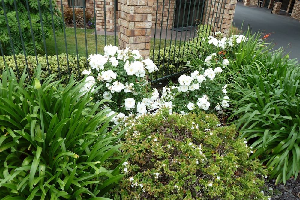 المظهر الخارجي