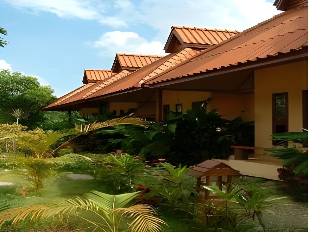 المظهر الخارجي