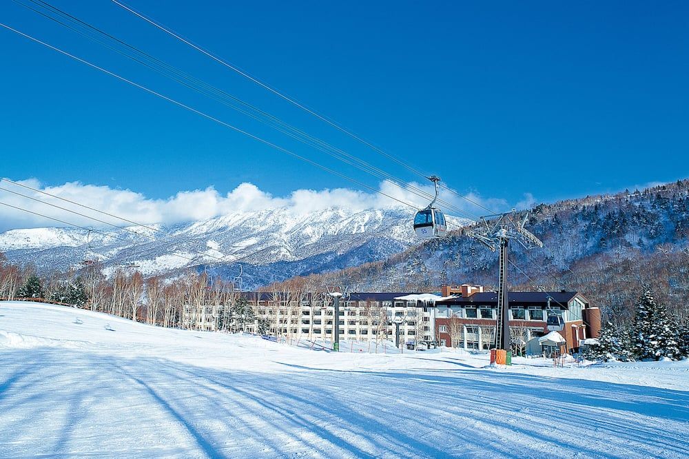 المظهر الخارجي