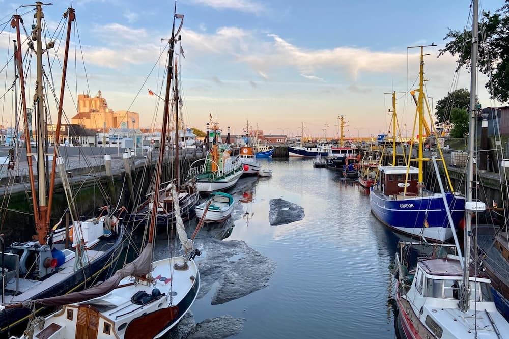 المظهر الخارجي