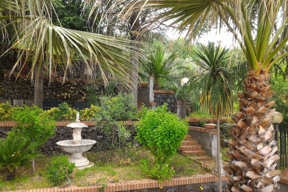 المظهر الخارجي