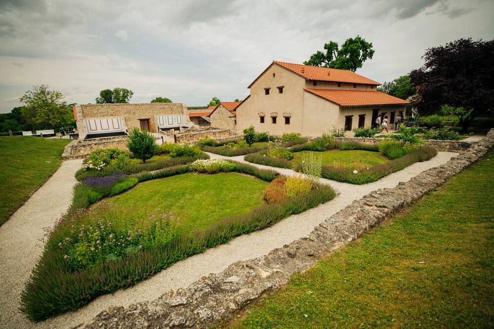 المظهر الخارجي