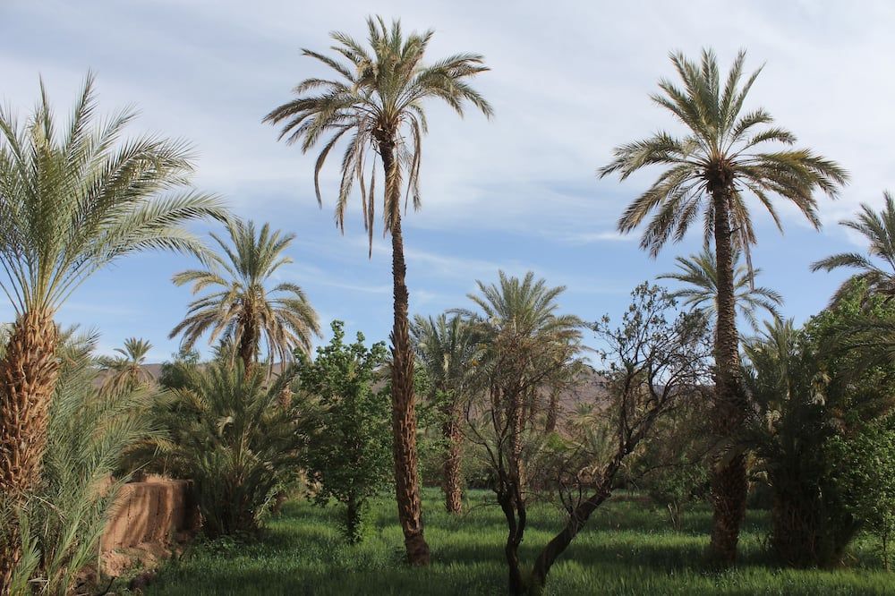 المظهر الخارجي