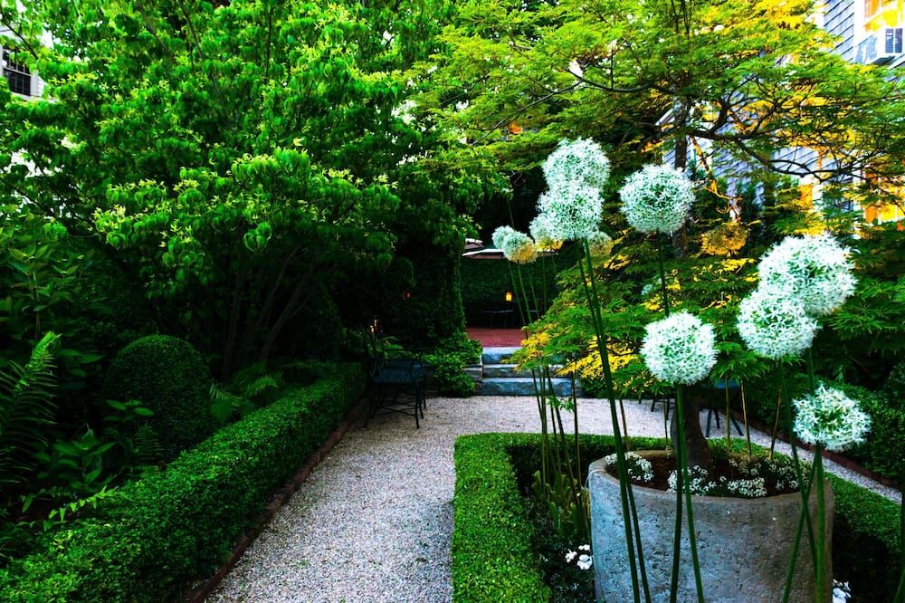 المظهر الخارجي