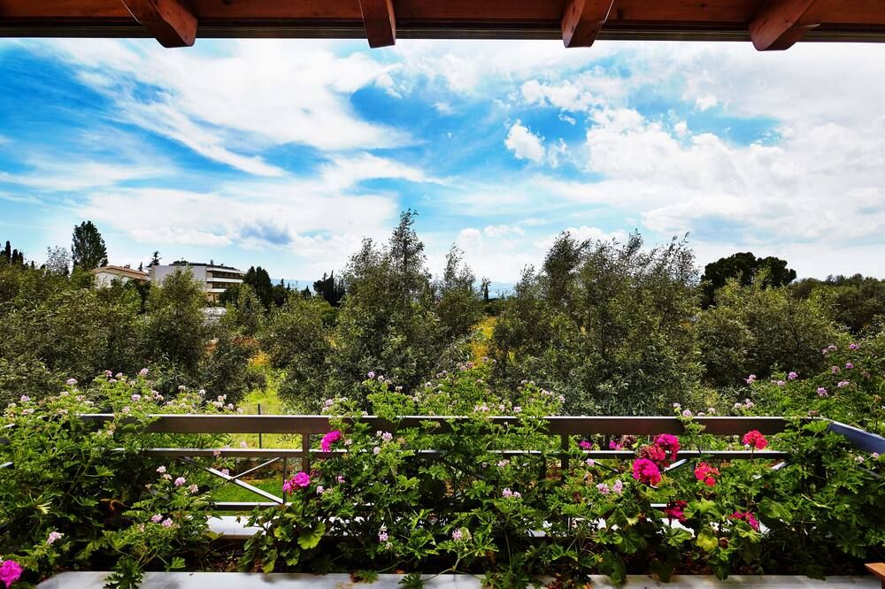 المظهر الخارجي