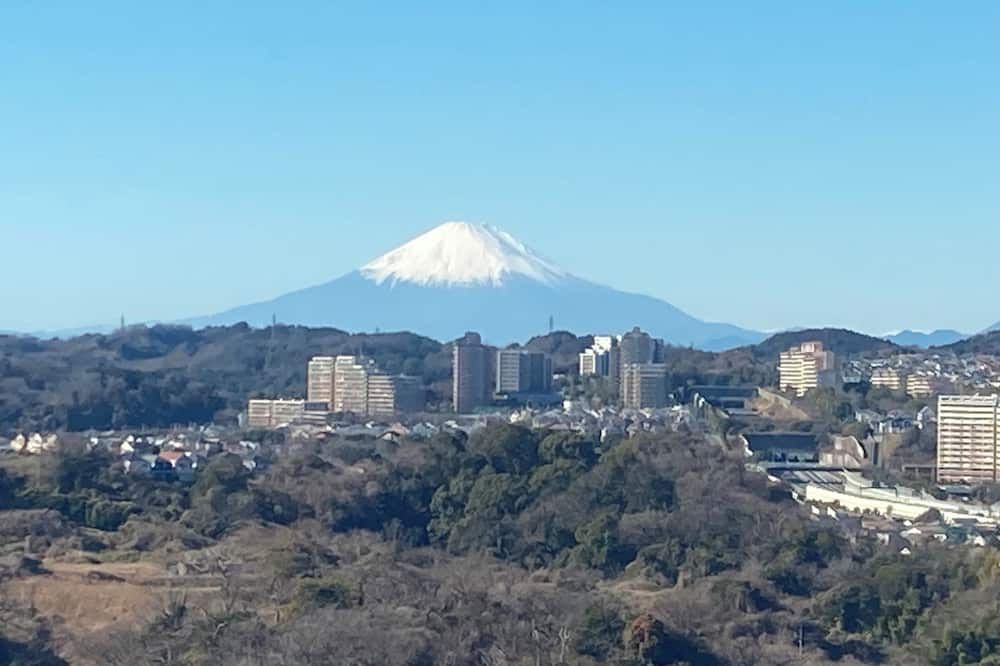 المظهر الخارجي