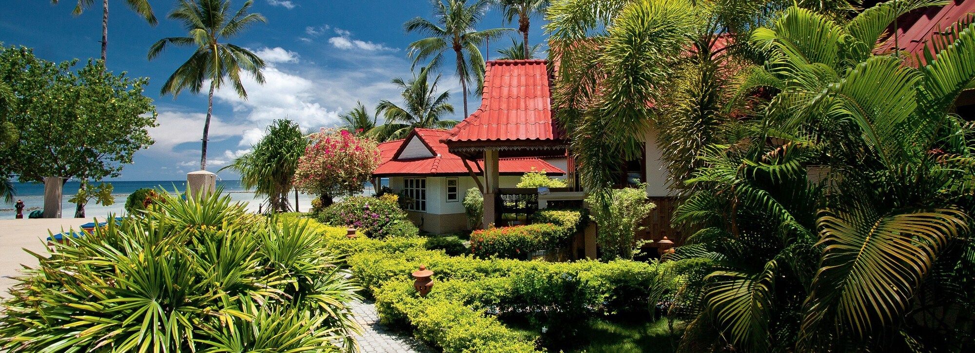 المظهر الخارجي