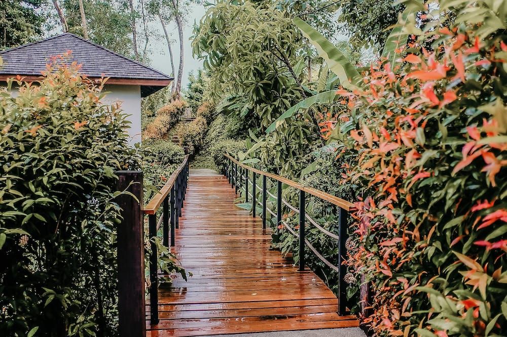 المظهر الخارجي