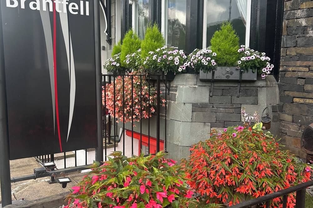 المظهر الخارجي