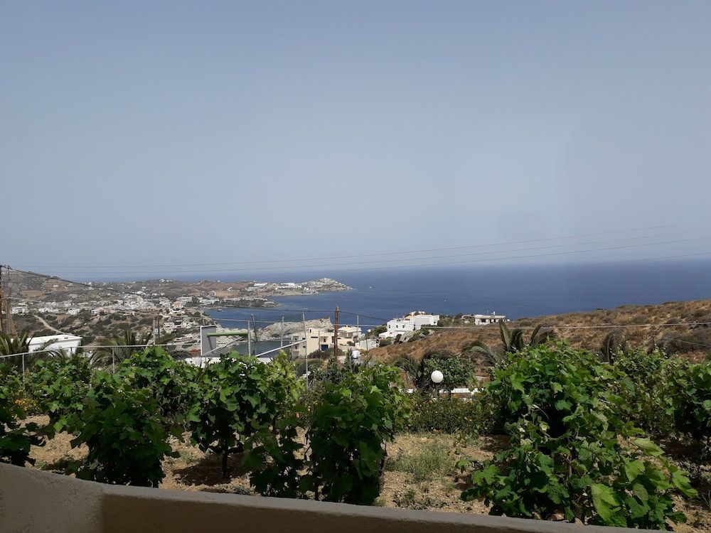المظهر الخارجي