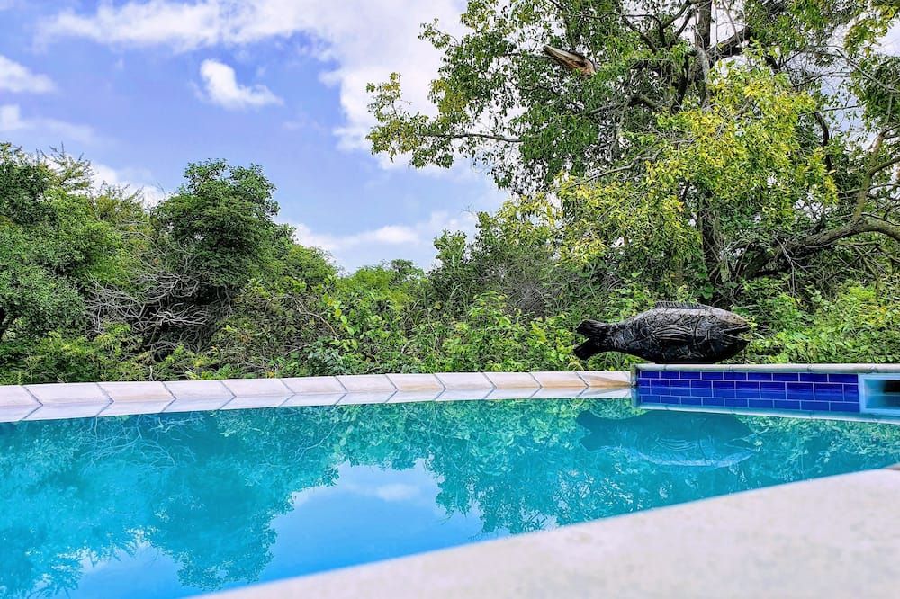 حوض السباحة صورة