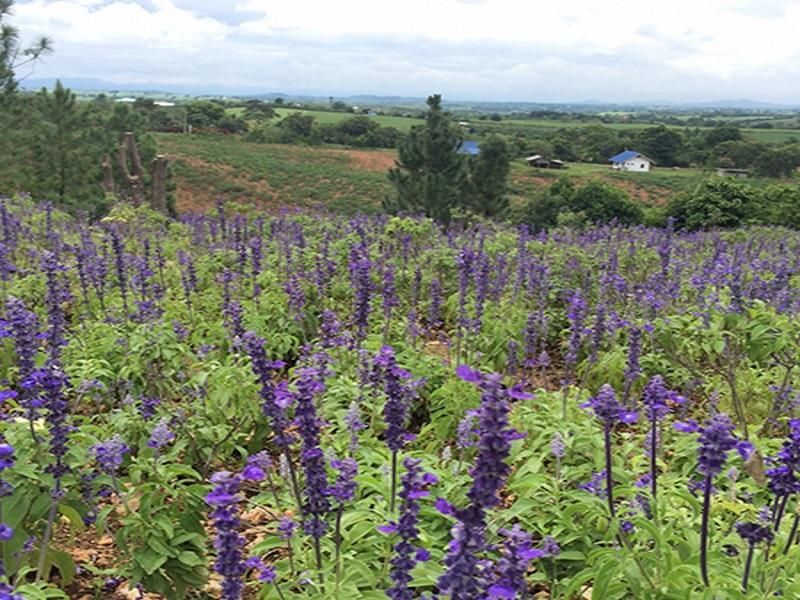 المظهر الخارجي