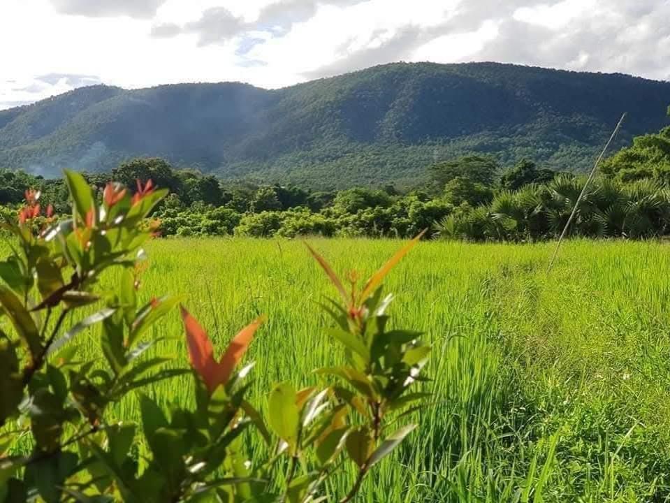 المظهر الخارجي