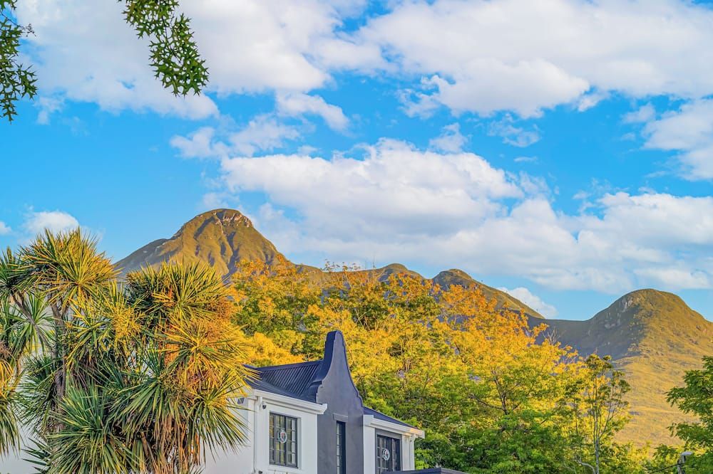 المظهر الخارجي