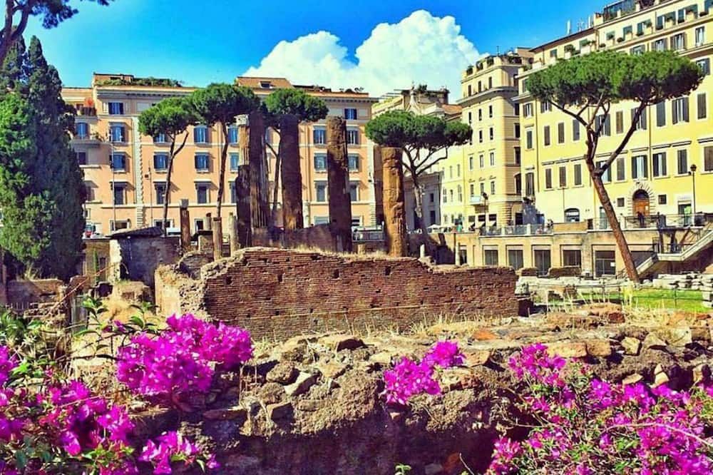 المظهر الخارجي