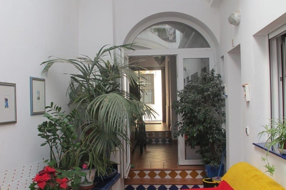 المظهر الخارجي