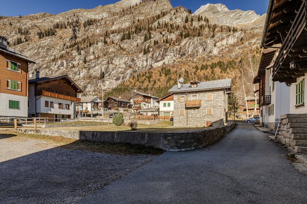 المظهر الخارجي