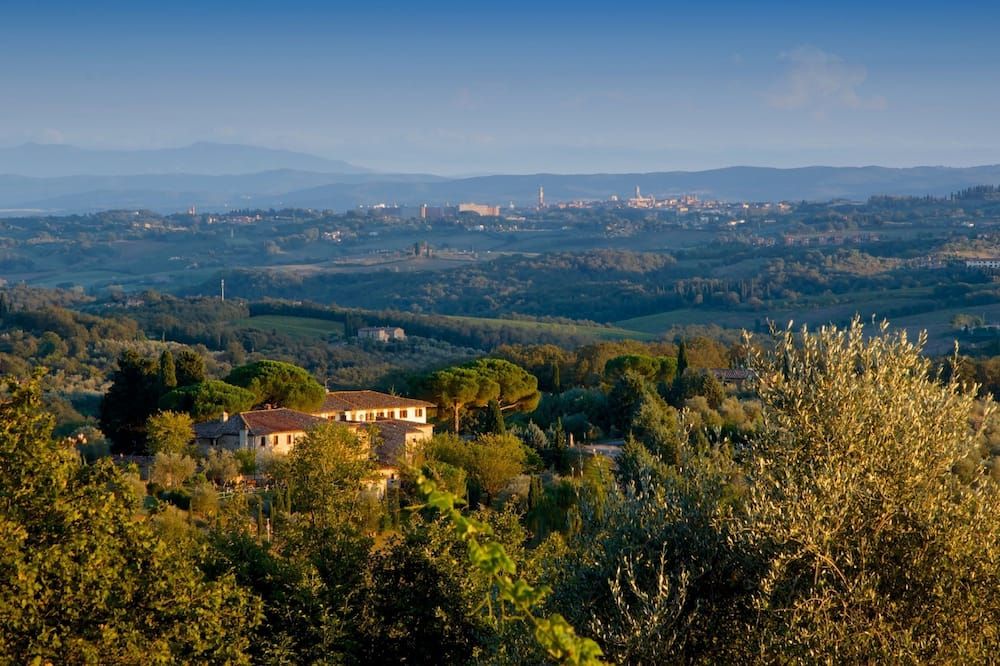 المظهر الخارجي