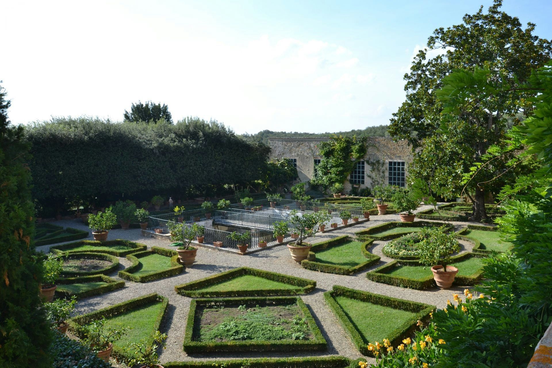 المظهر الخارجي