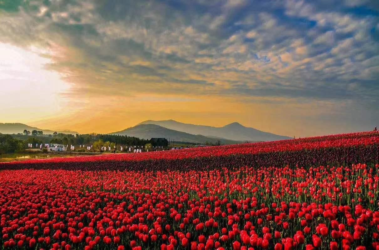 المظهر الخارجي