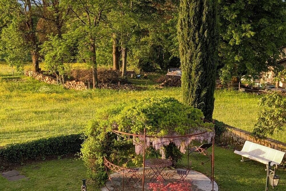 المظهر الخارجي