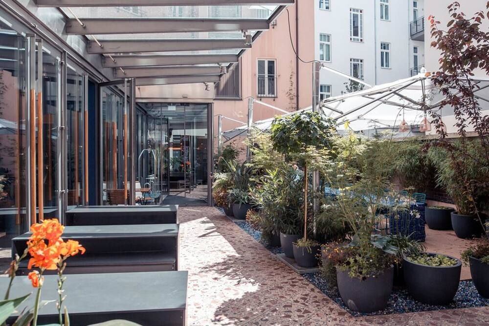 المظهر الخارجي