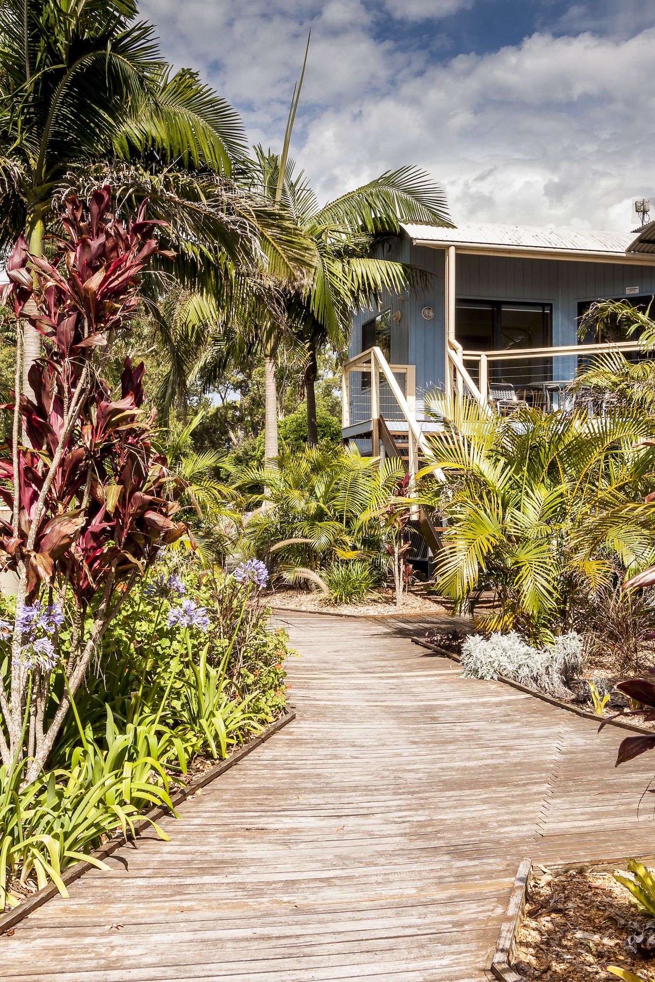 المظهر الخارجي