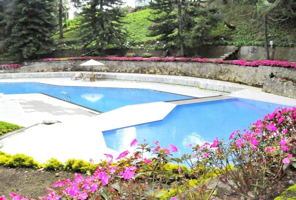 حوض السباحة