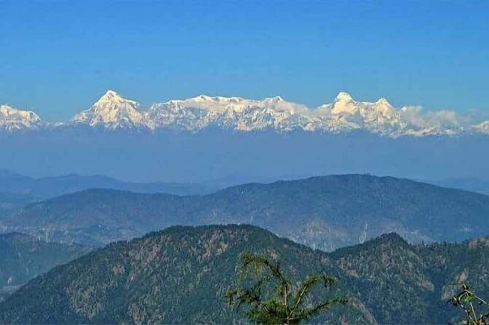 المظهر الخارجي