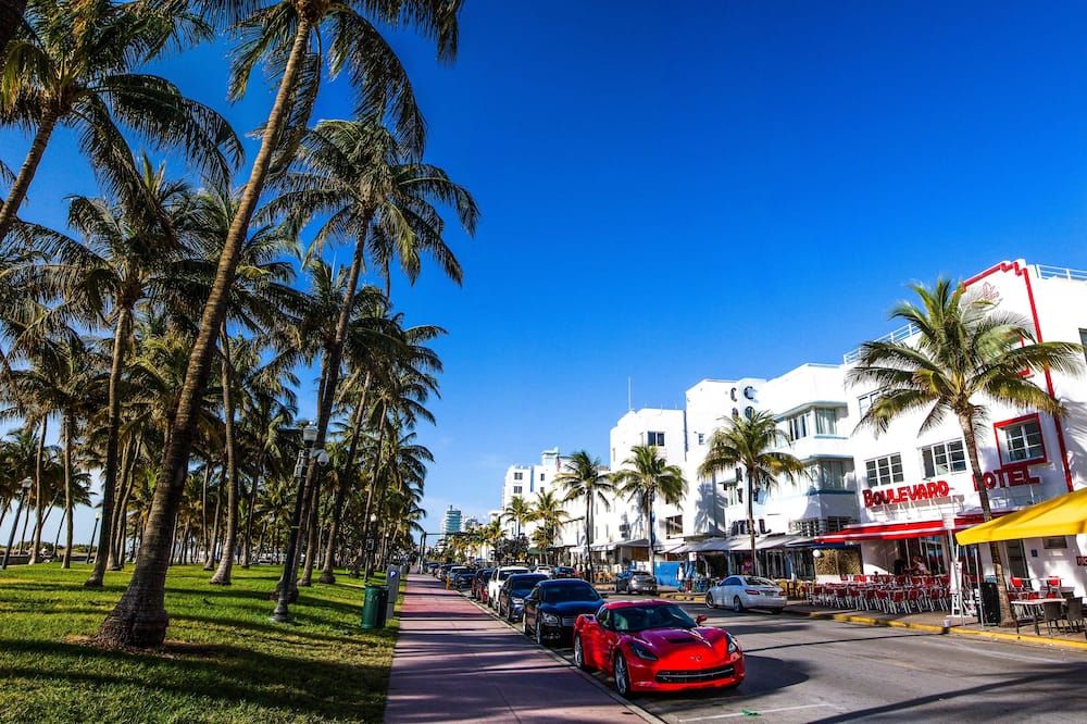 المظهر الخارجي