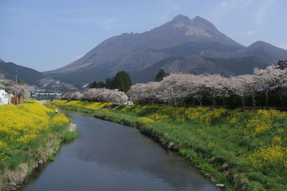 المظهر الخارجي