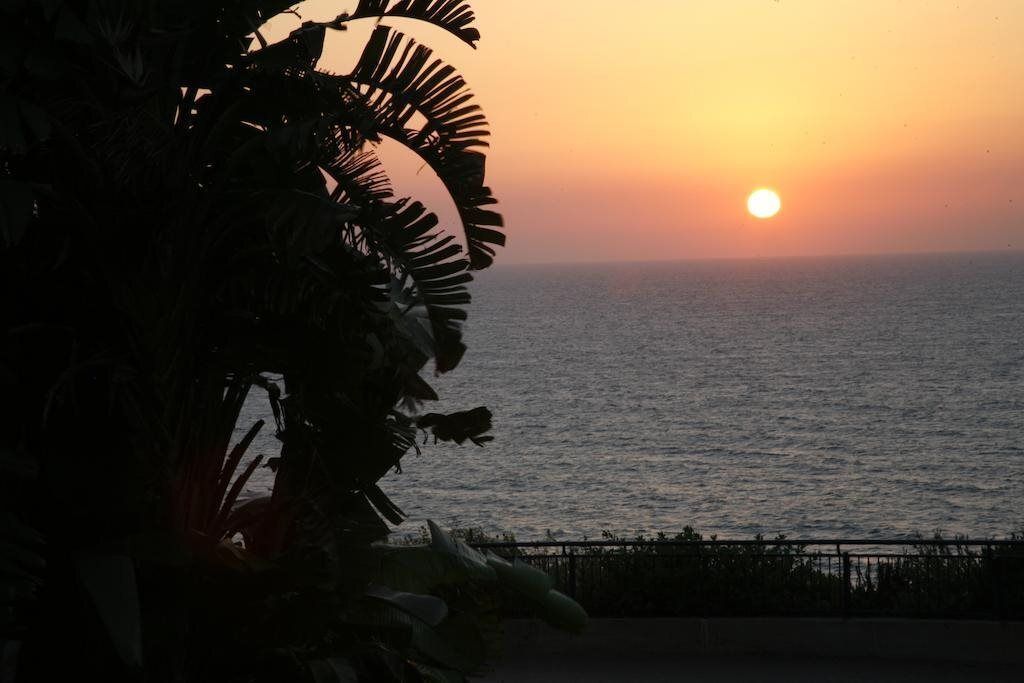 المظهر الخارجي