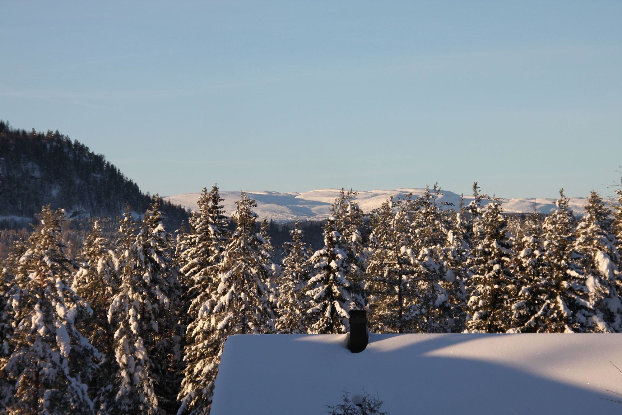 المظهر الخارجي