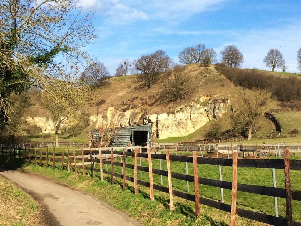 المظهر الخارجي