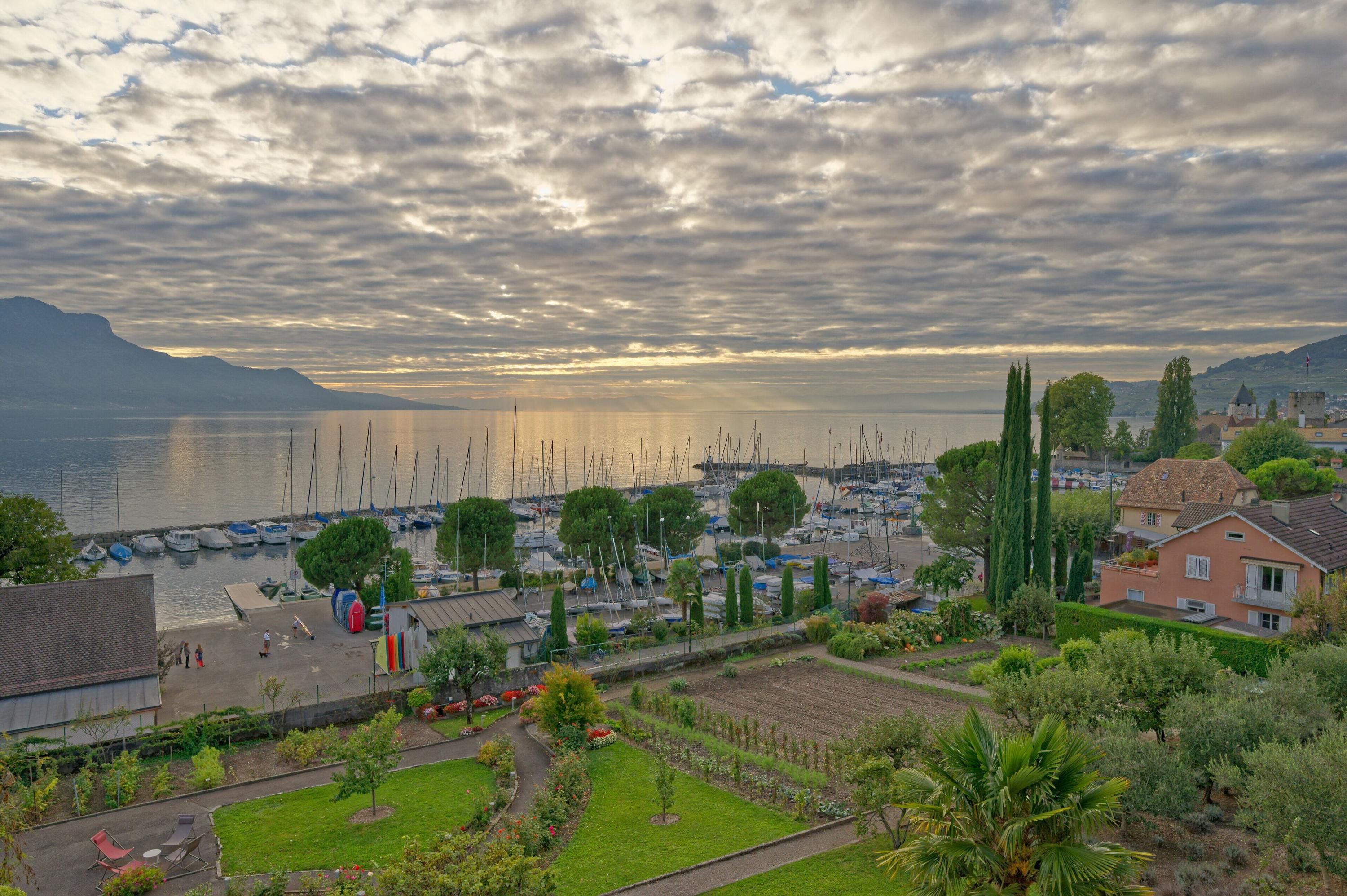 المظهر الخارجي