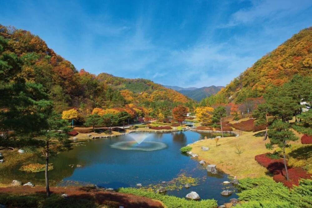 المظهر الخارجي