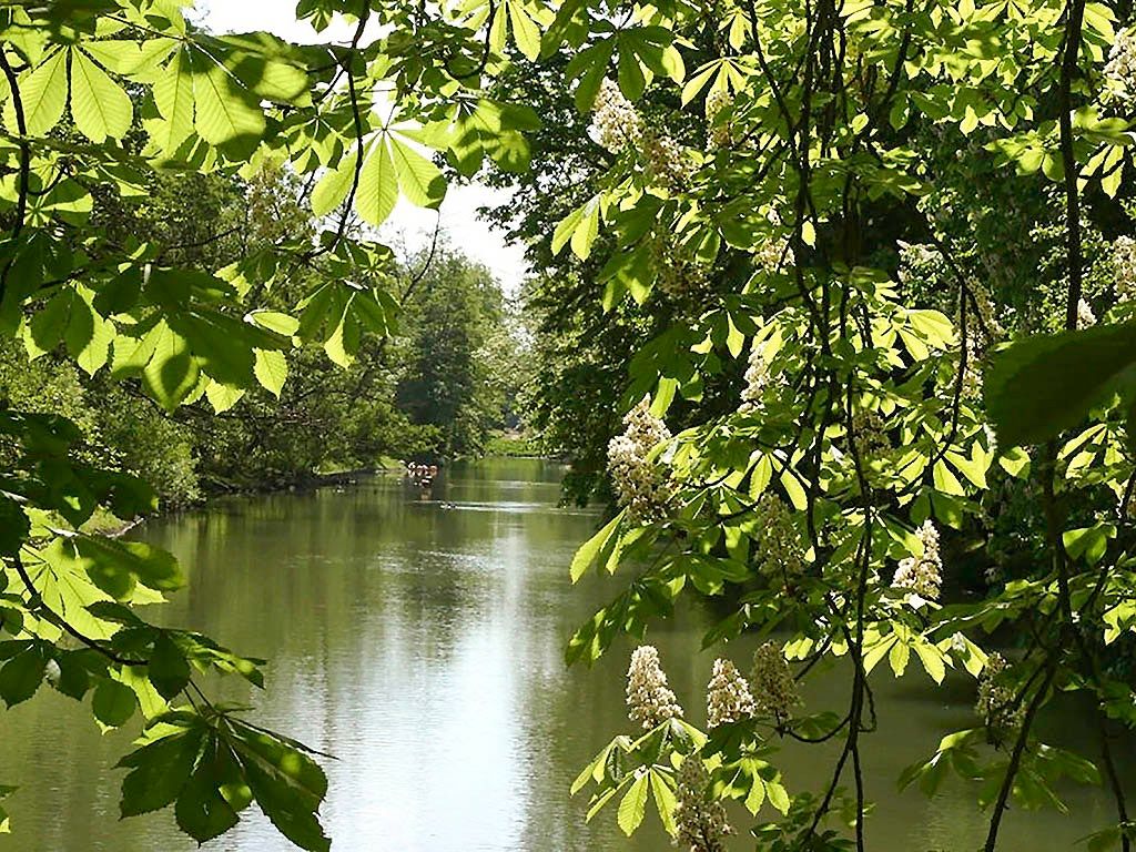 المظهر الخارجي