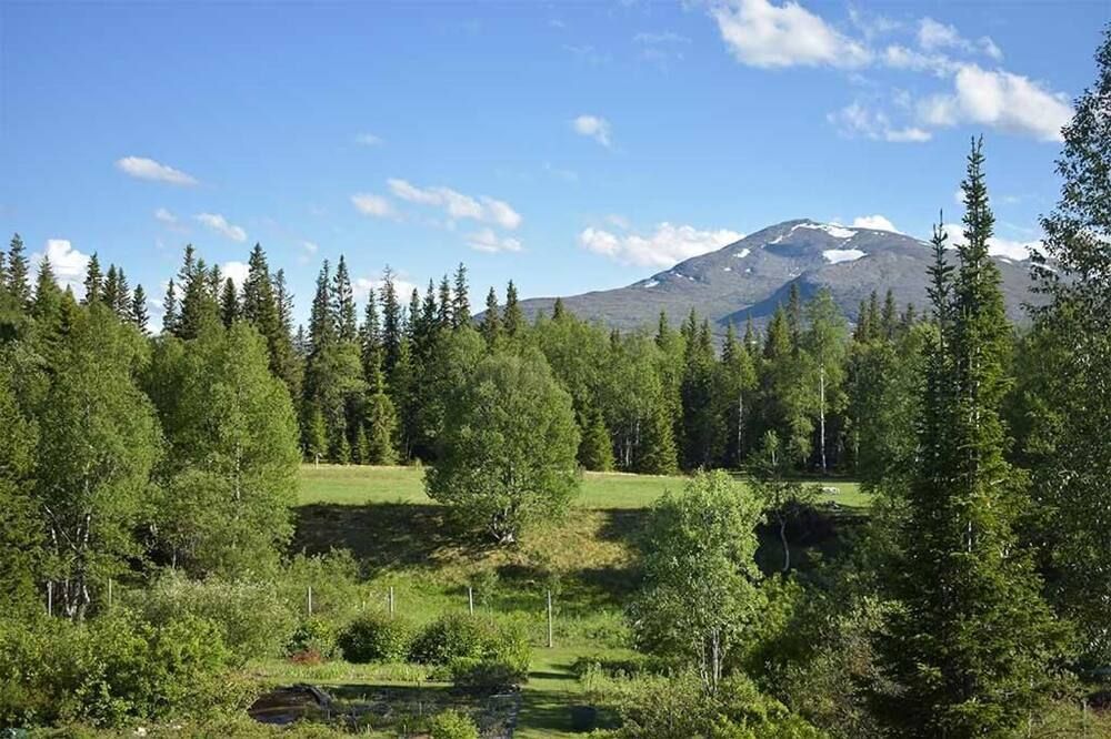 المظهر الخارجي