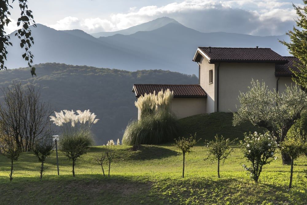 المظهر الخارجي