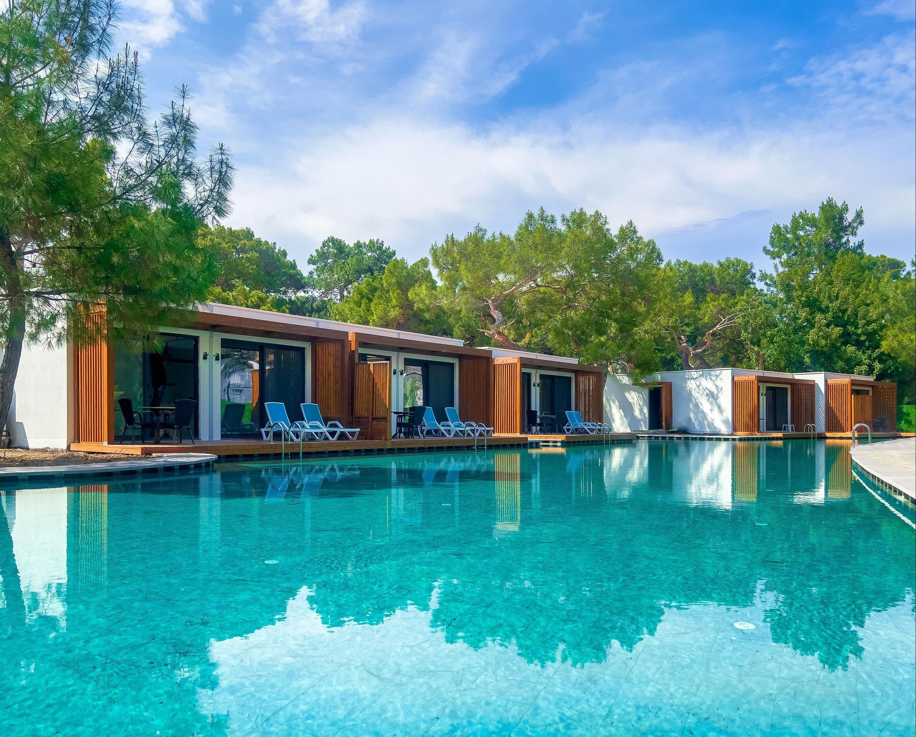 حوض السباحة صورة