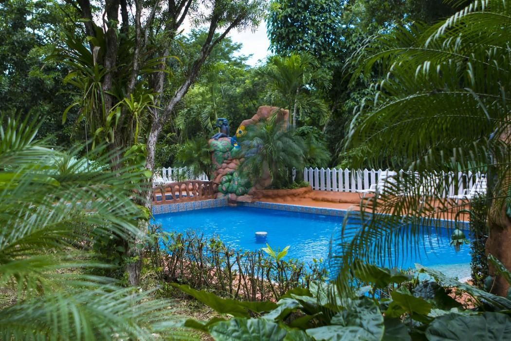 حوض السباحة