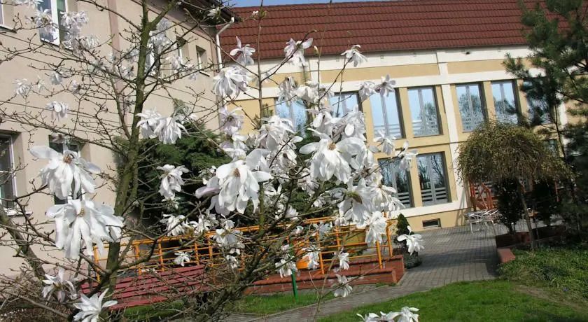 المظهر الخارجي